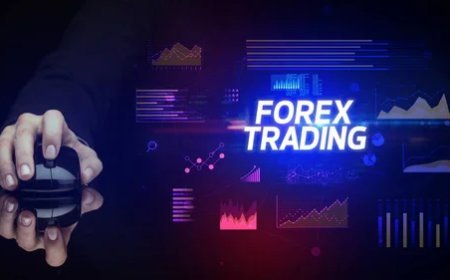 Forex Trading Maine