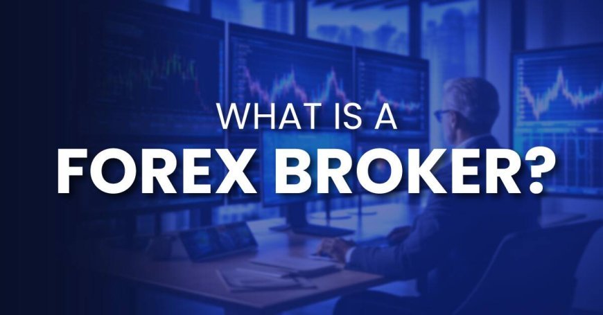 Best Forex Trading Brokers